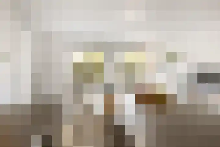 Coelhorst 62 Vleuten thumbnail 12