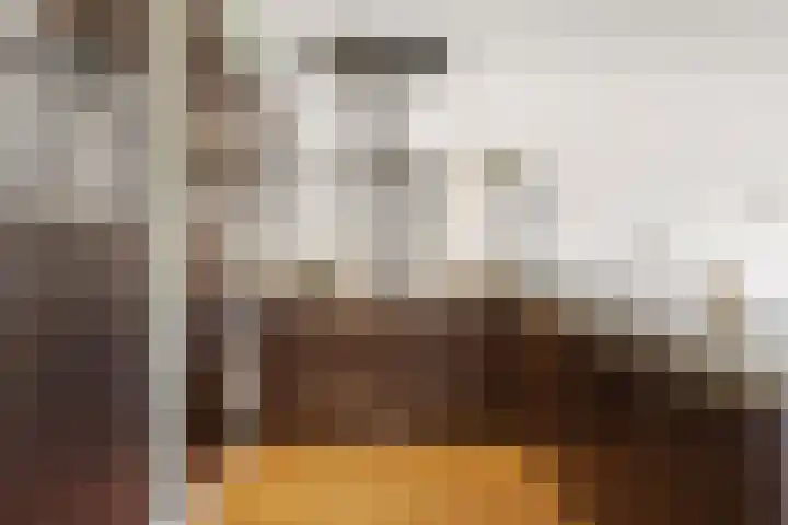 Coelhorst 62 Vleuten thumbnail 13