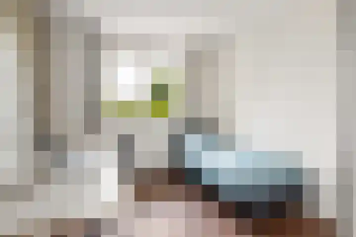 Coelhorst 62 Vleuten thumbnail 25
