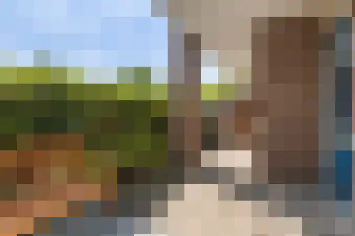 Coelhorst 62 Vleuten thumbnail 27