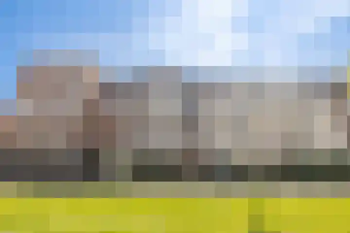 Coelhorst 62 Vleuten thumbnail 30
