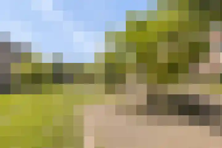 Coelhorst 62 Vleuten thumbnail 32