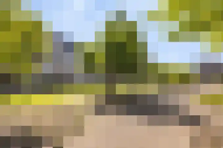 Coelhorst 62 Vleuten thumbnail 33