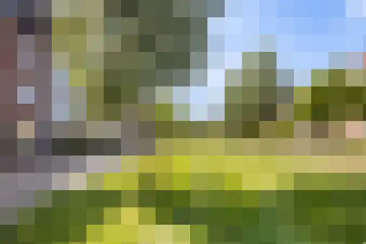 Coelhorst 62 Vleuten thumbnail 34