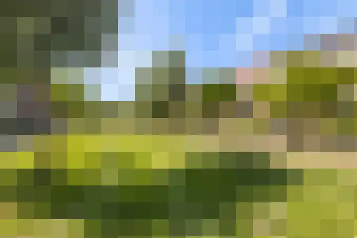 Coelhorst 62 Vleuten thumbnail 35