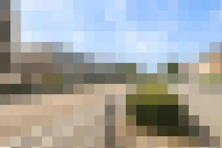 Coelhorst 62 Vleuten thumbnail 37