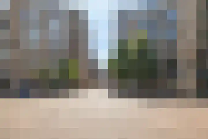 Coelhorst 62 Vleuten thumbnail 38