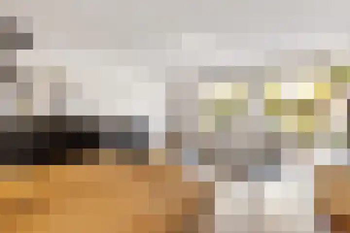 Coelhorst 62 Vleuten thumbnail 9