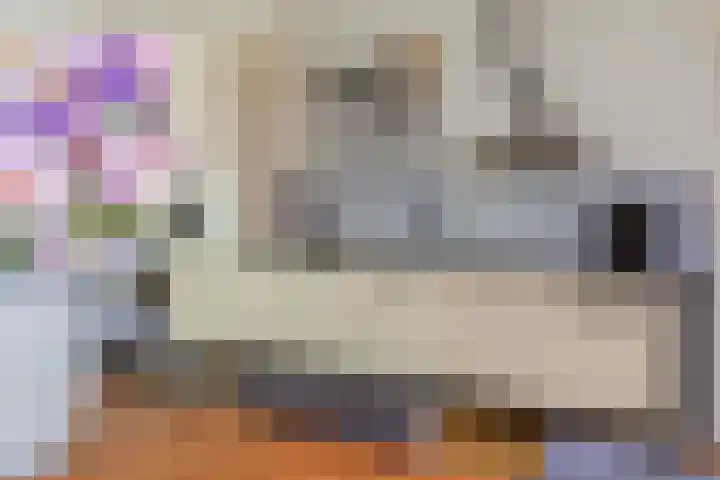 Coelhorst 72 Vleuten thumbnail 10