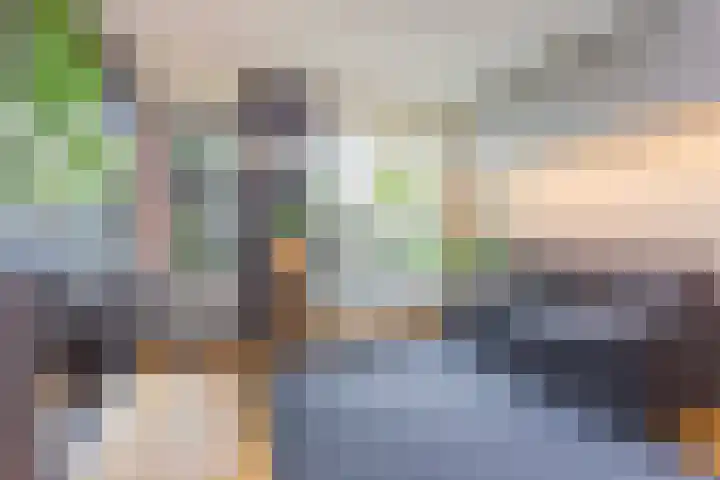 Coelhorst 72 Vleuten thumbnail 12