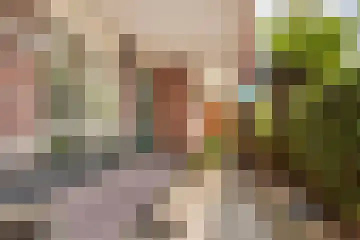Coelhorst 72 Vleuten thumbnail 13