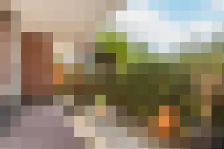Coelhorst 72 Vleuten thumbnail 14