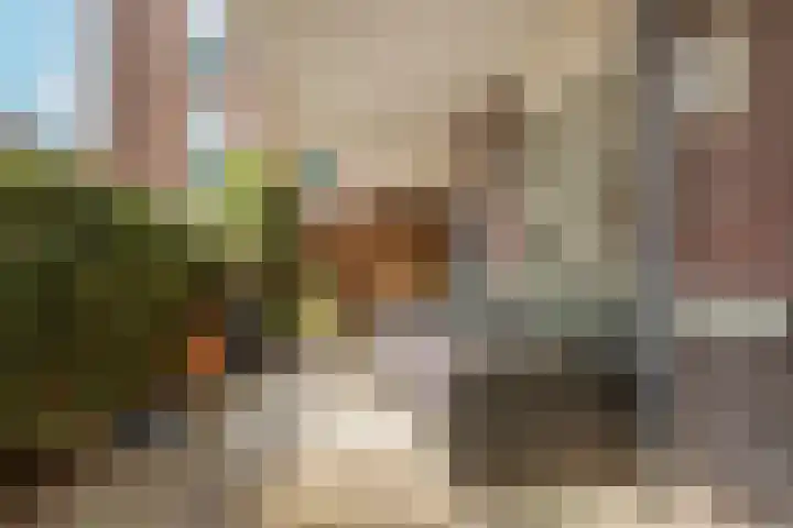 Coelhorst 72 Vleuten thumbnail 15
