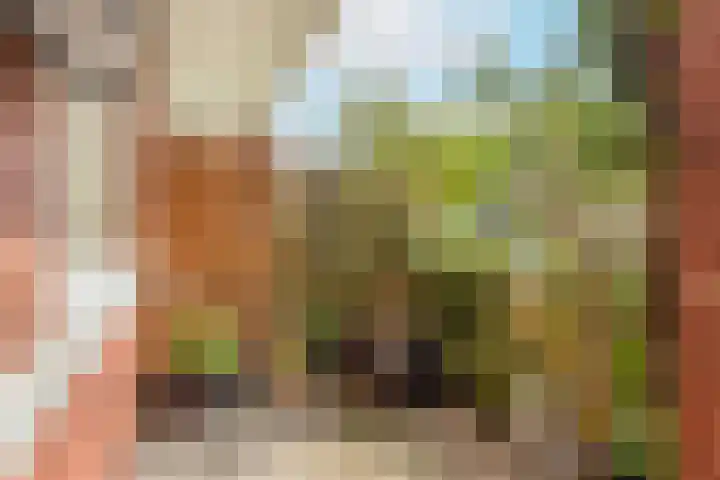 Coelhorst 72 Vleuten thumbnail 16
