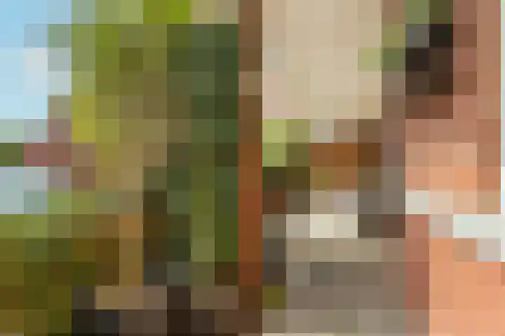Coelhorst 72 Vleuten thumbnail 18