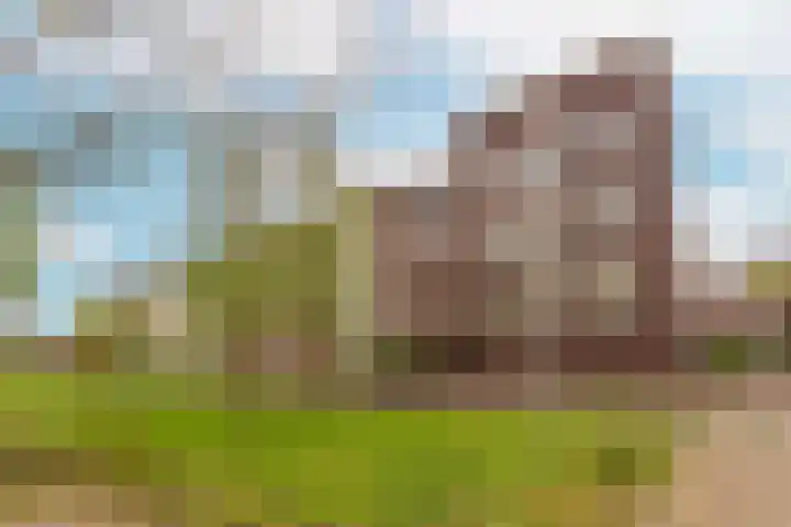 Coelhorst 72 Vleuten thumbnail 29