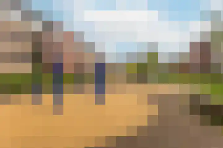 Coelhorst 72 Vleuten thumbnail 31