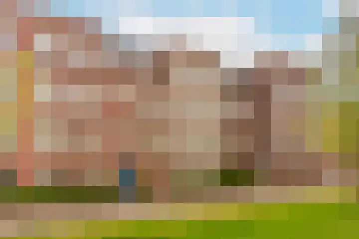 Coelhorst 72 Vleuten thumbnail 32