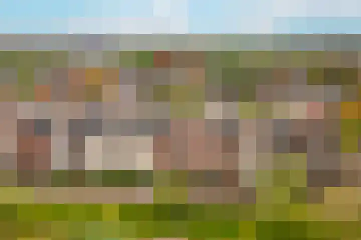 Coelhorst 72 Vleuten thumbnail 33