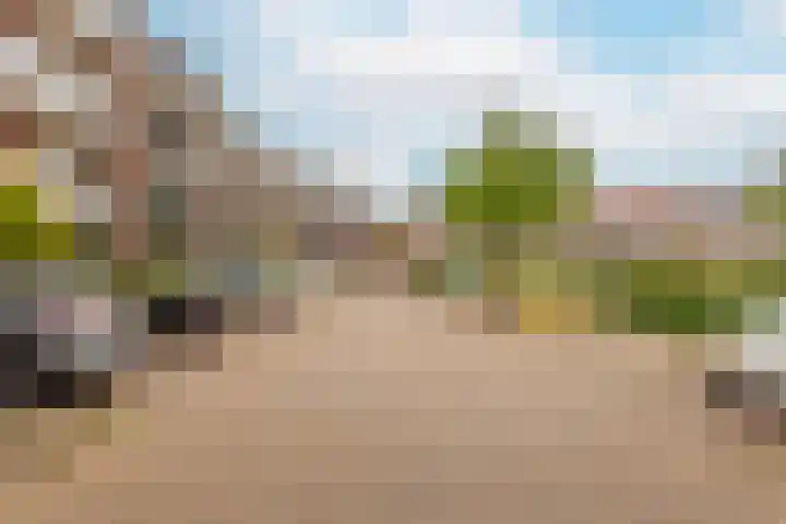 Coelhorst 72 Vleuten thumbnail 34