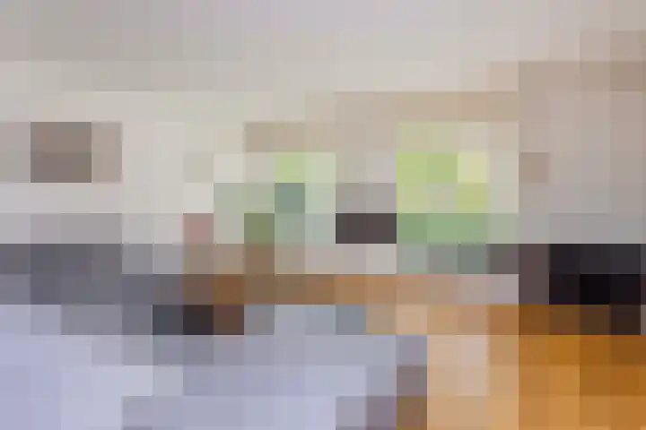 Coelhorst 72 Vleuten thumbnail 7