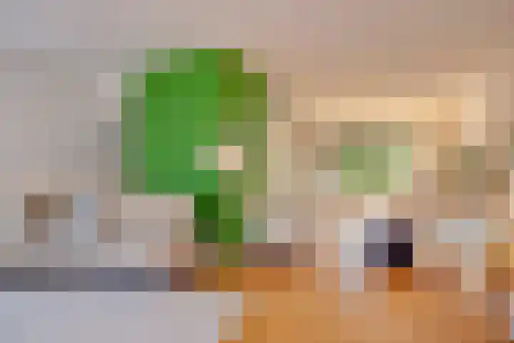 Coelhorsterappelgaarde 17 Amersfoort thumbnail 14