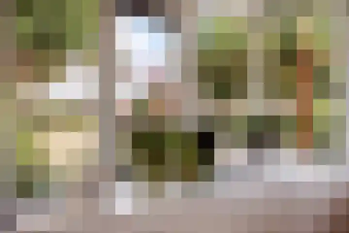 Coelhorsterappelgaarde 17 Amersfoort thumbnail 15