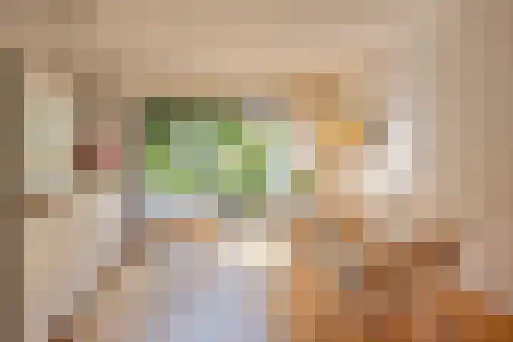 Coelhorsterappelgaarde 17 Amersfoort thumbnail 17