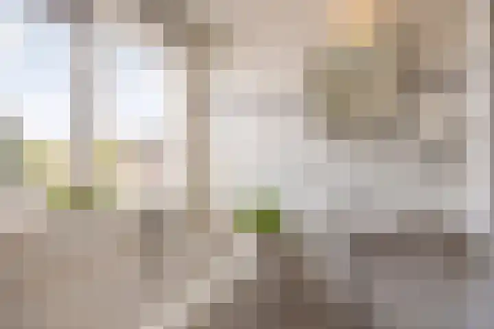 Coelhorsterappelgaarde 17 Amersfoort thumbnail 31