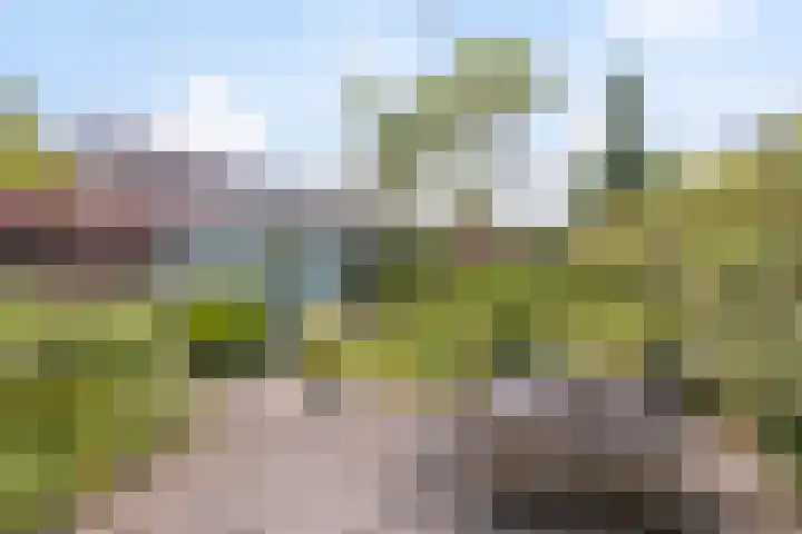 Coelhorsterappelgaarde 17 Amersfoort thumbnail 37