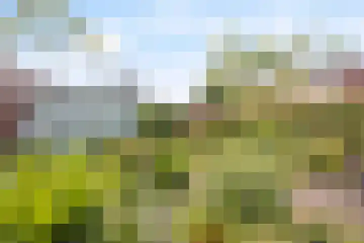 Coelhorsterappelgaarde 17 Amersfoort thumbnail 38