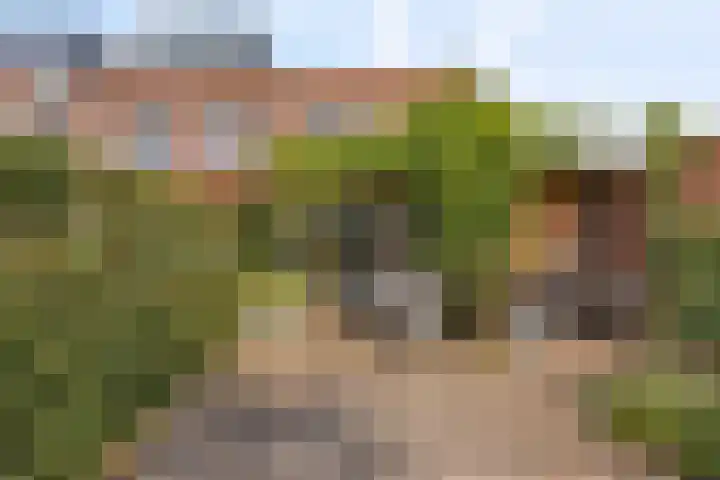 Coelhorsterappelgaarde 17 Amersfoort thumbnail 40