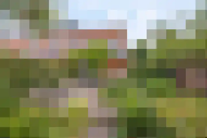 Coelhorsterappelgaarde 17 Amersfoort thumbnail 41
