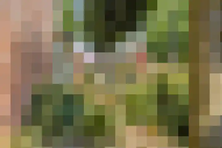 Coelhorsterappelgaarde 17 Amersfoort thumbnail 42