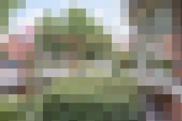 Coelhorsterappelgaarde 17 Amersfoort thumbnail 43