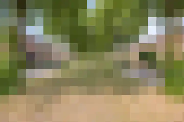 Coelhorsterappelgaarde 17 Amersfoort thumbnail 44