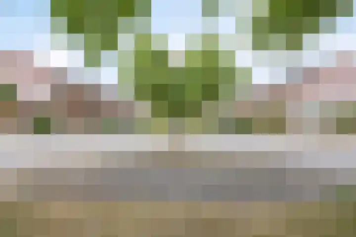 Coelhorsterappelgaarde 17 Amersfoort thumbnail 45