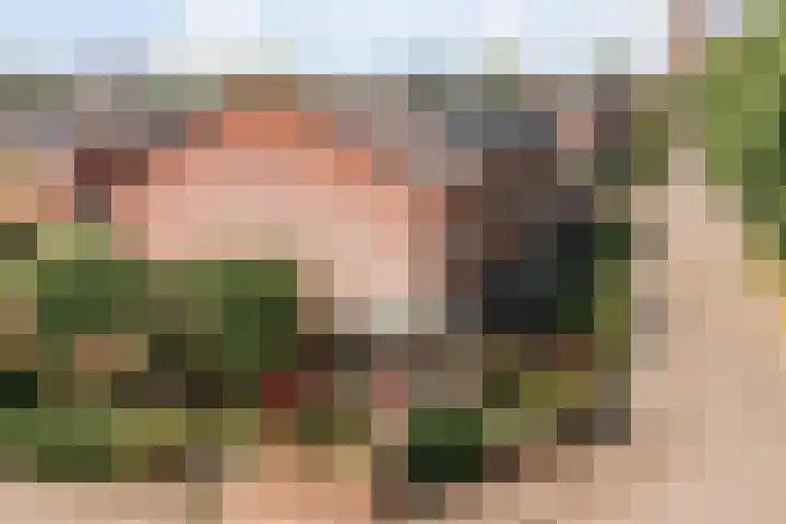 Coelhorsterappelgaarde 17 Amersfoort thumbnail 46