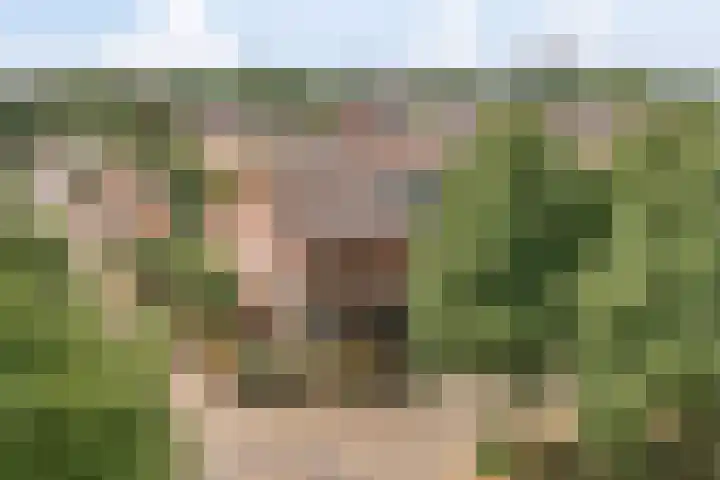 Coelhorsterappelgaarde 17 Amersfoort thumbnail 47