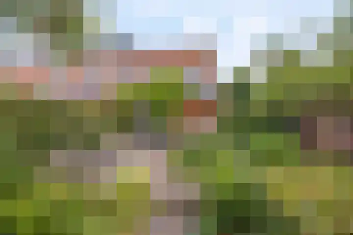 Coelhorsterappelgaarde 17 Amersfoort thumbnail 5