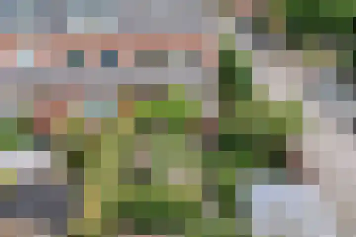 Coelhorsterappelgaarde 17 Amersfoort thumbnail 51