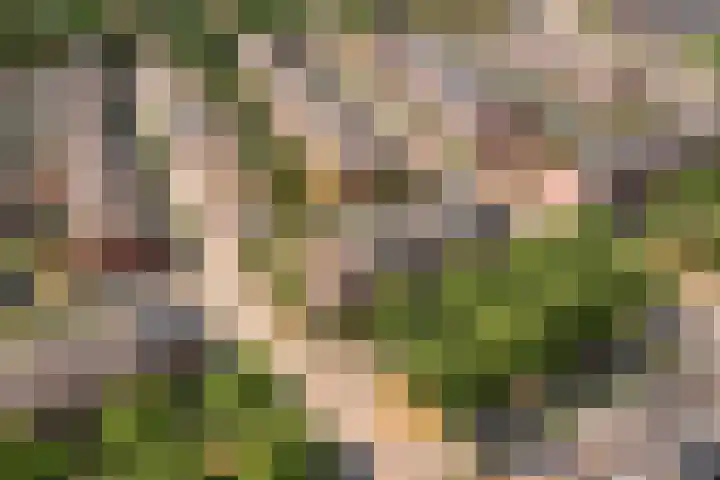Coelhorsterappelgaarde 17 Amersfoort thumbnail 53