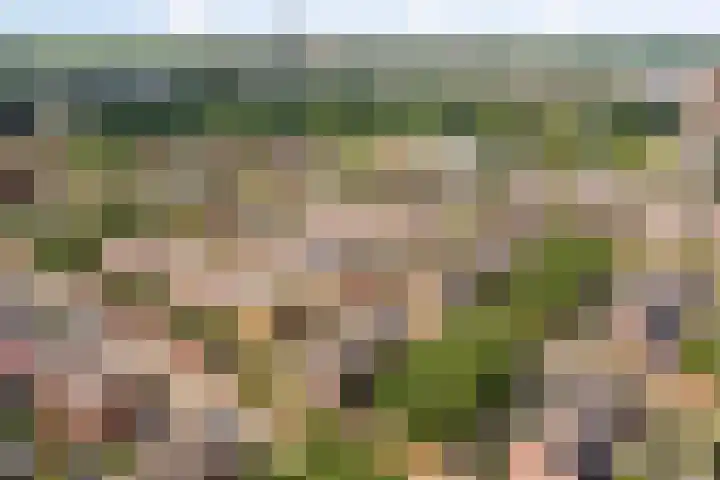 Coelhorsterappelgaarde 17 Amersfoort thumbnail 6