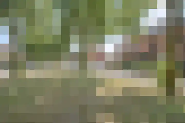 Coelhorsterappelgaarde 17 Amersfoort thumbnail 7