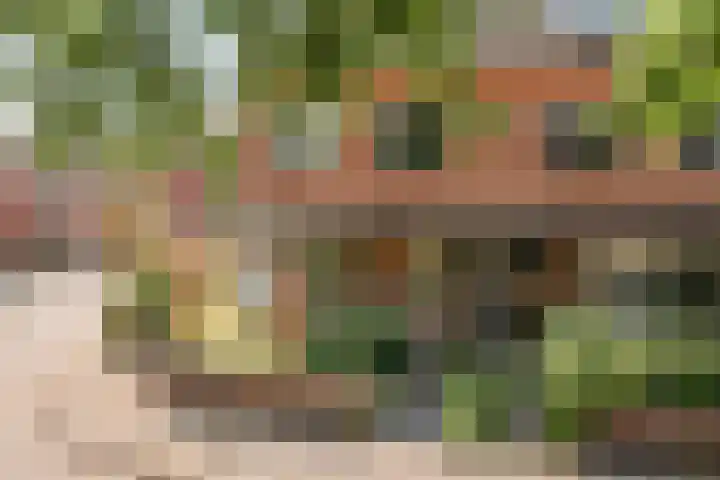 Coelhorsterappelgaarde 17 Amersfoort thumbnail 9