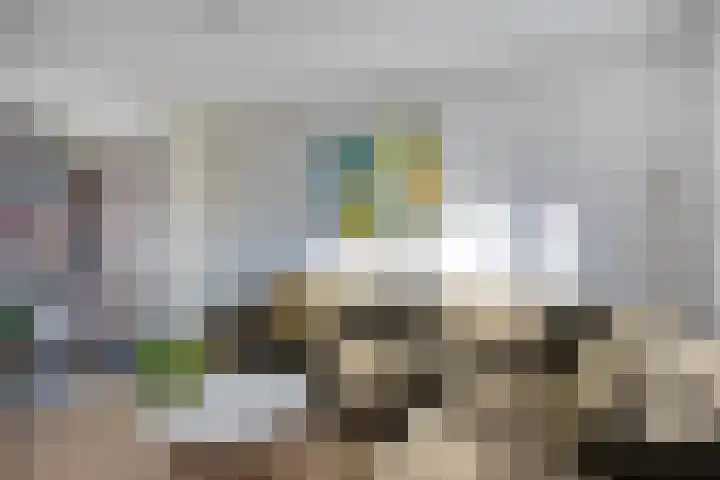 Coelhorsterappelgaarde 19 Amersfoort thumbnail 10