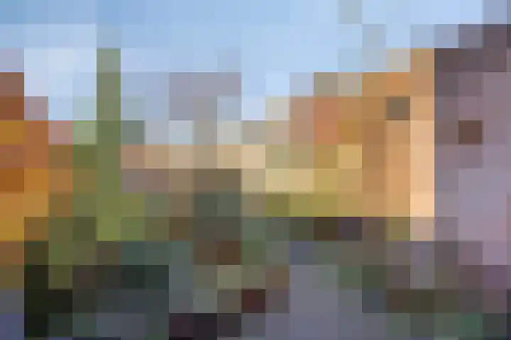 Coelhorsterappelgaarde 19 Amersfoort thumbnail 29