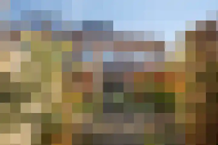 Coelhorsterappelgaarde 19 Amersfoort thumbnail 30
