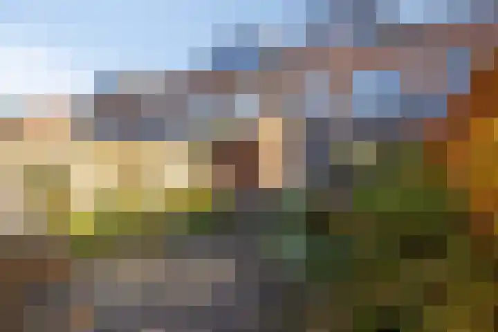 Coelhorsterappelgaarde 19 Amersfoort thumbnail 31