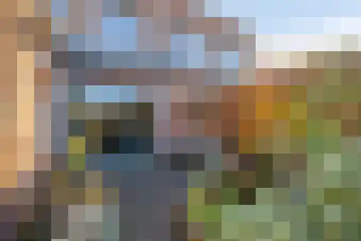 Coelhorsterappelgaarde 19 Amersfoort thumbnail 32